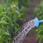 best balcony watering methods for beginners