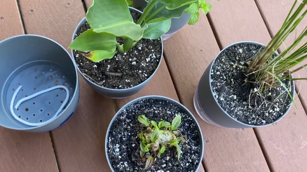 best balcony watering methods for beginners - self-watering pots