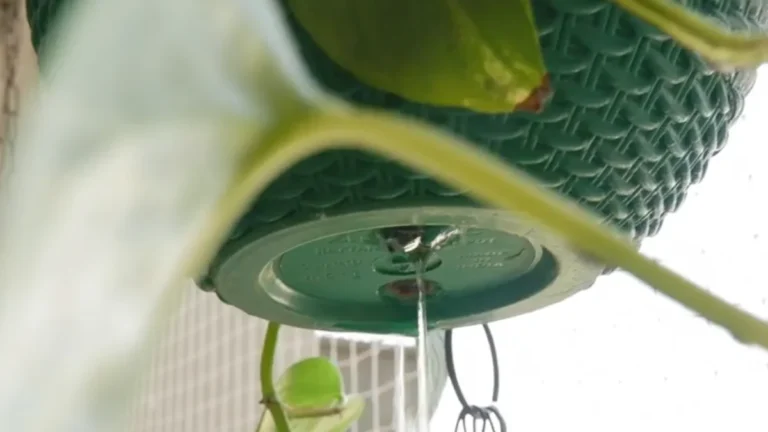 how to stop water dripping on lower balconies - featured