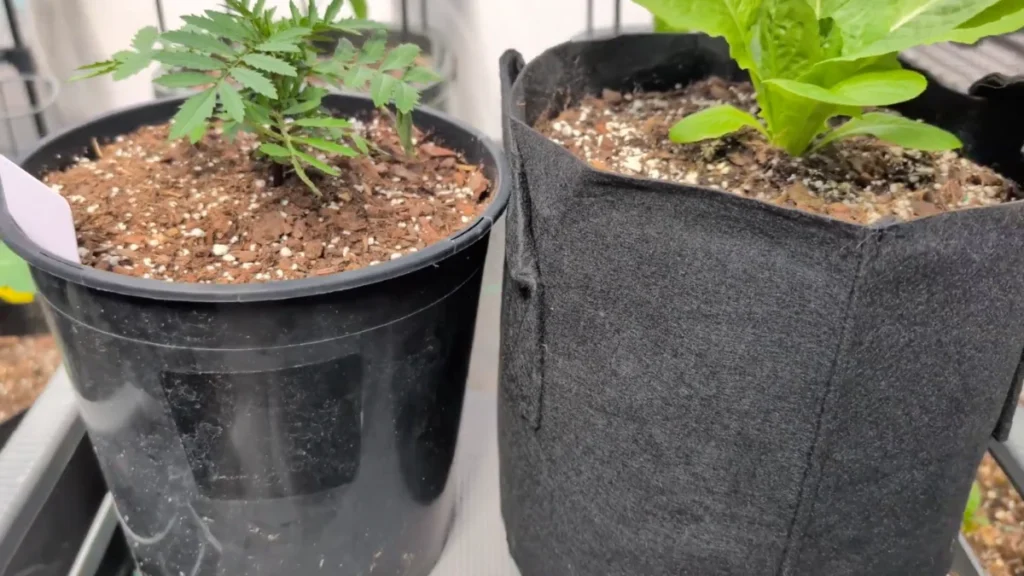 overheating balcony pots in summer - featured