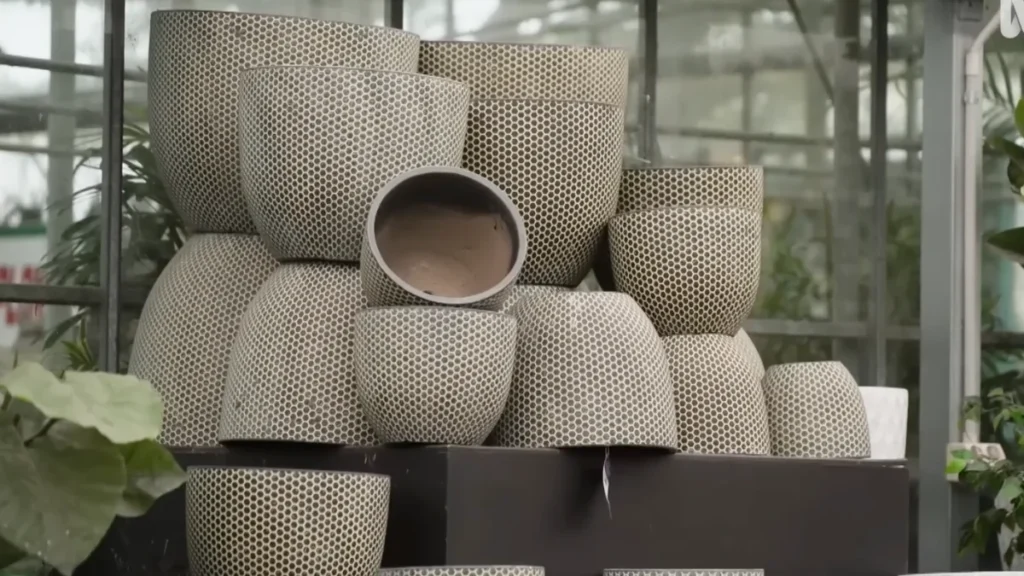 Do Plants Grow Better in Plastic or Ceramic Pots - ceramic