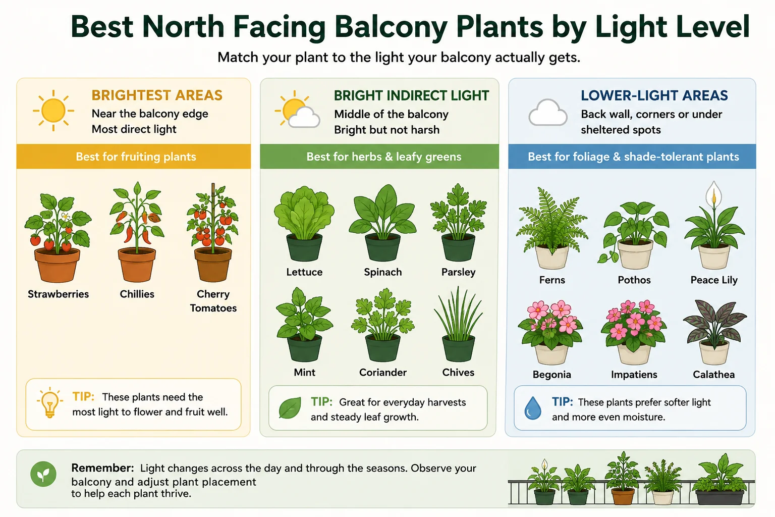 Best Plants for a north balcony