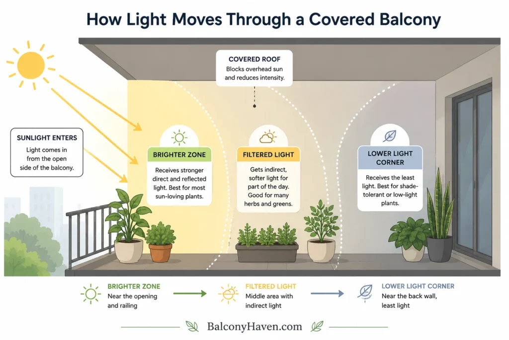 How light moves through a balcony - Best plants for covered balconies with light