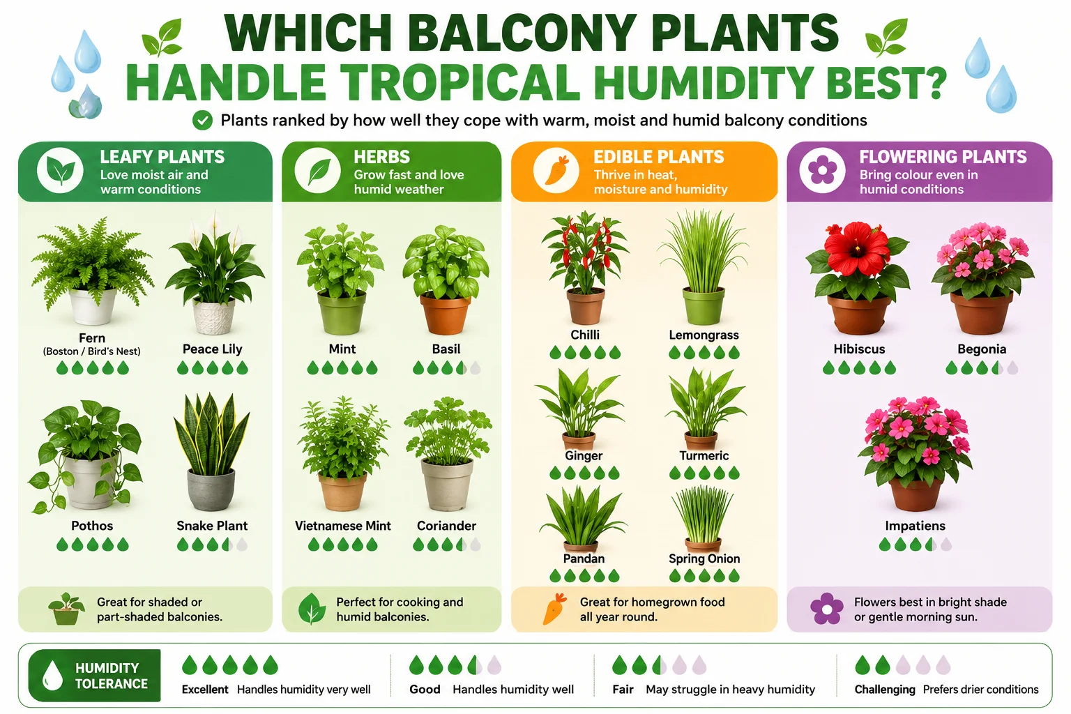 Diagram comparing which balcony plants handle tropical humidity best