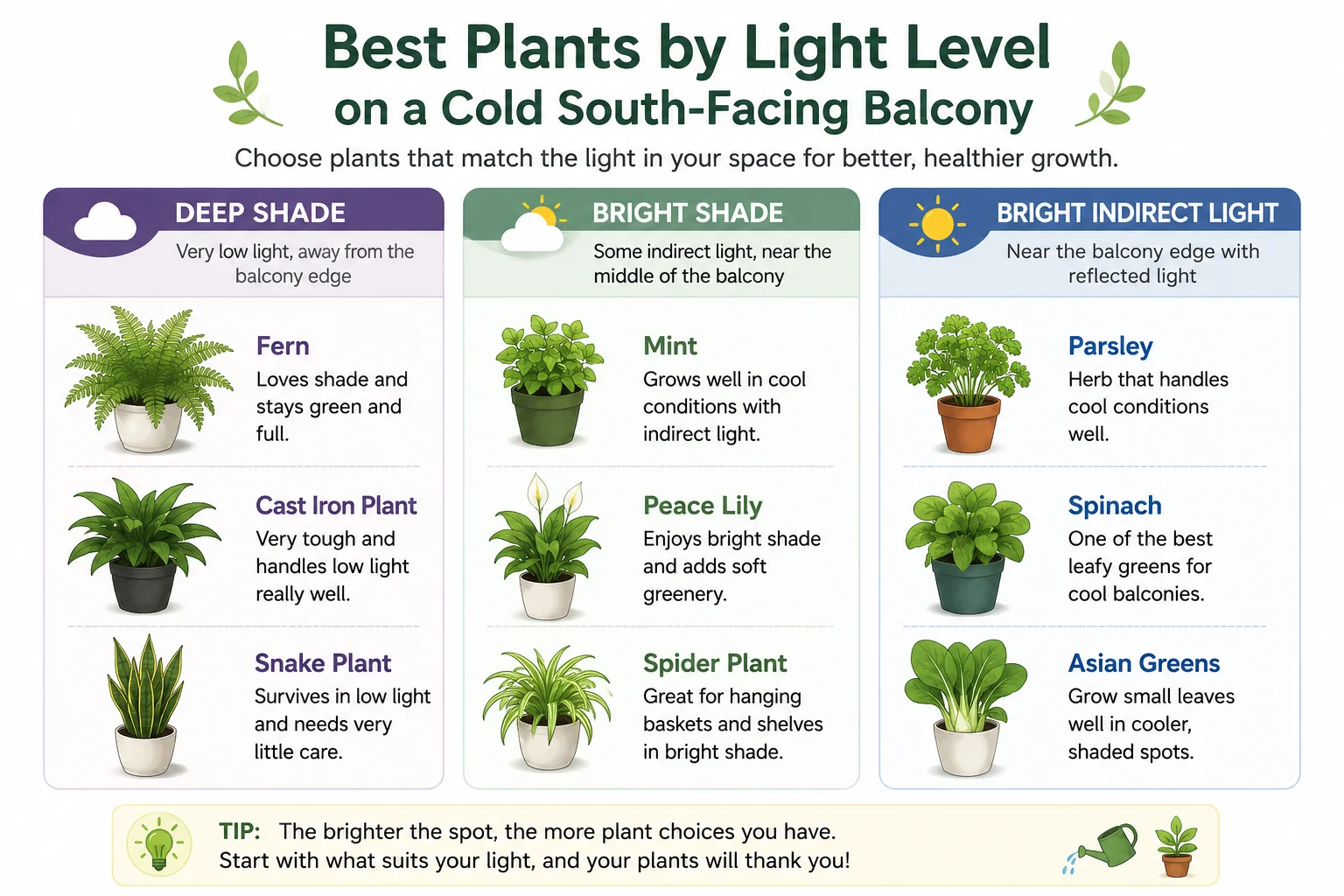 Best plants by light level on a cold south-facing balcony diagram