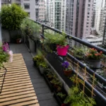 Gardening on balconies with no direct sun