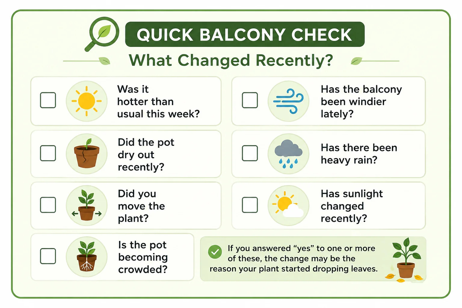Checklist for diagnosing sudden leaf drop on balcony plants