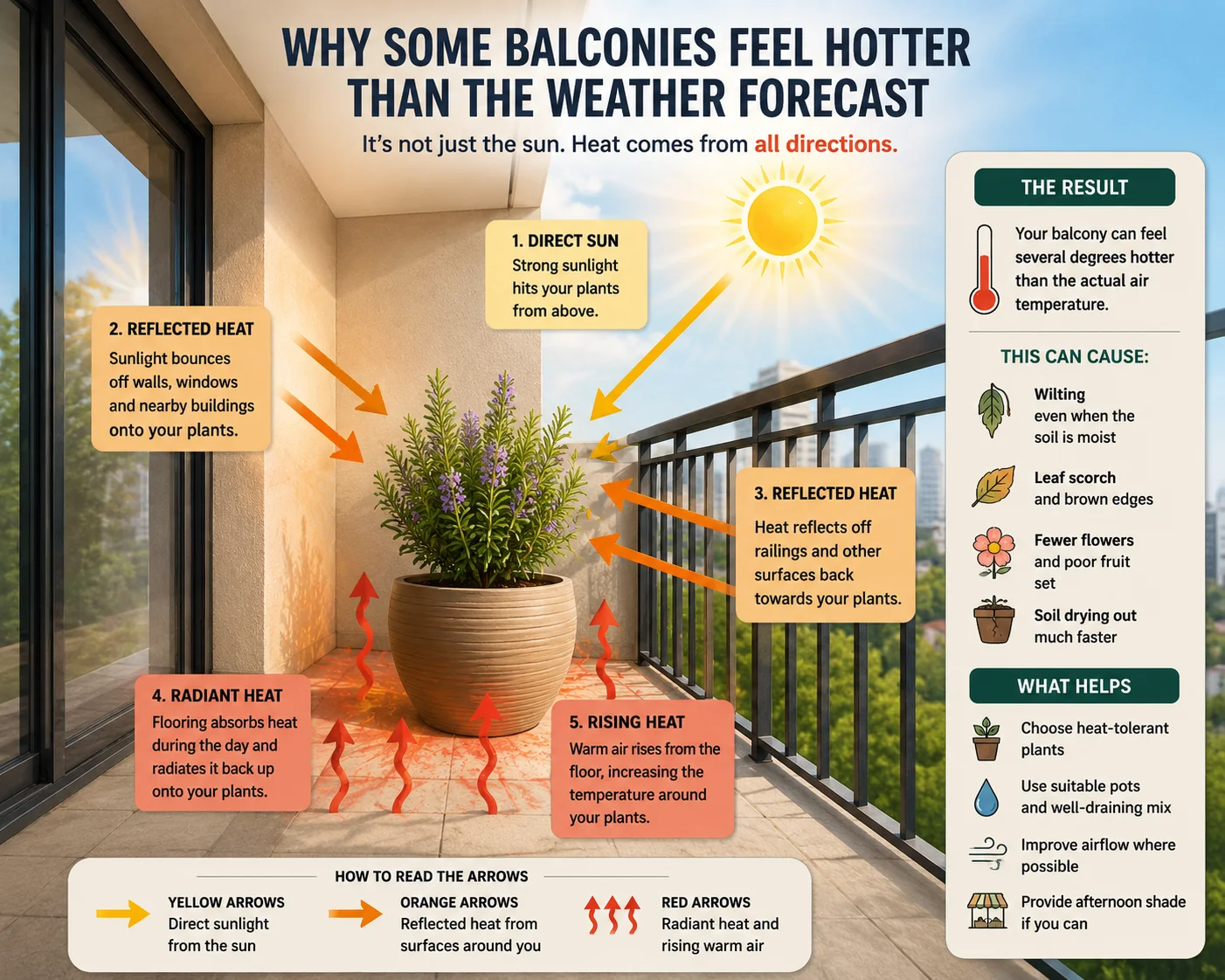 Diagram showing sunlight and reflected heat bouncing from balcony walls, floors, and glass onto potted plants