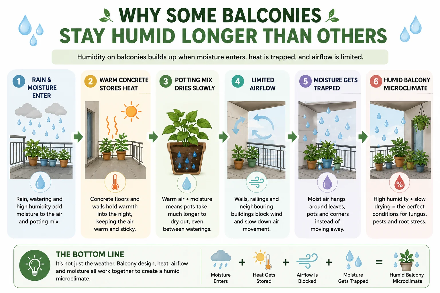 Diagram showing how tropical humidity builds up around balcony plants