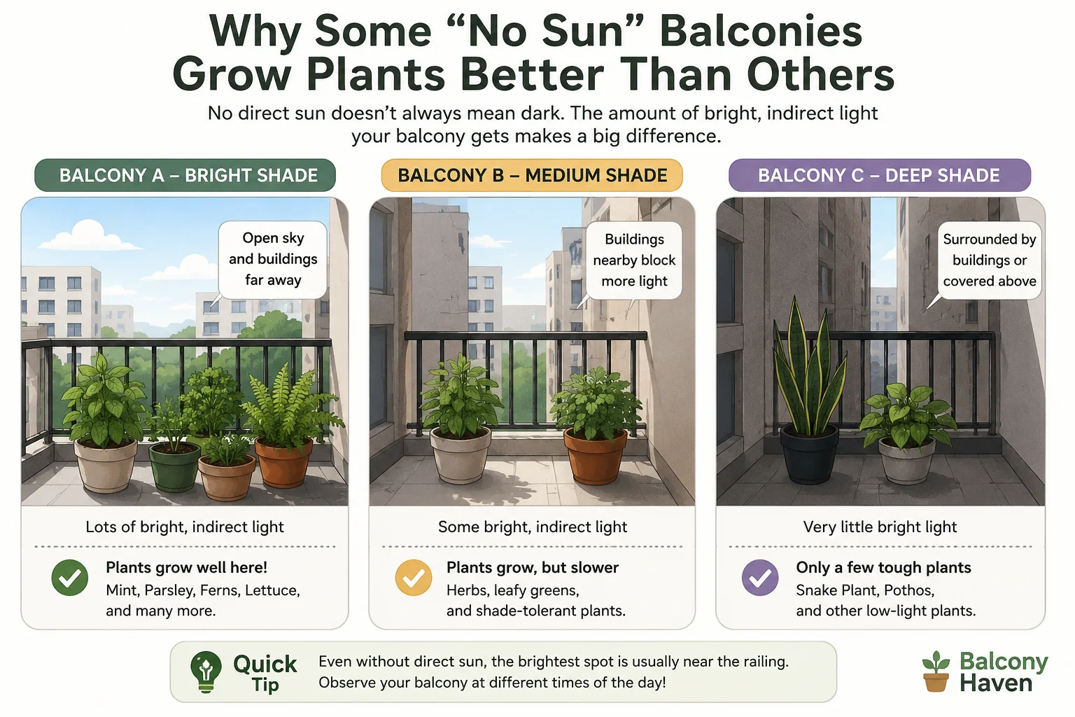 Why no direct sun does not always mean a dark balcony garden diagram