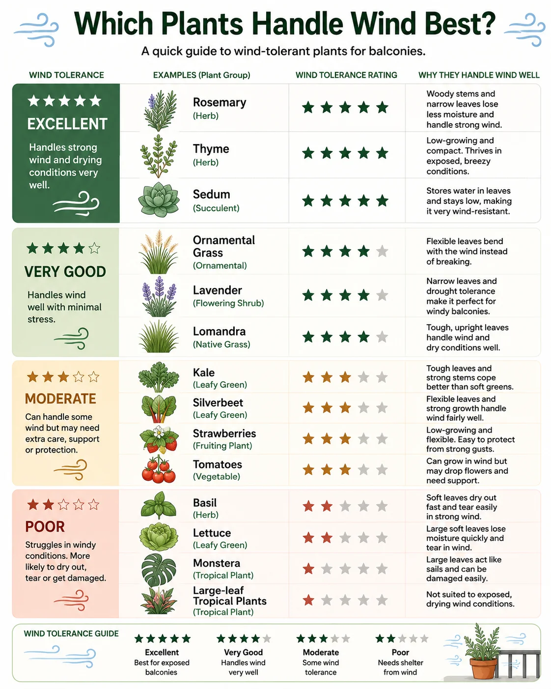 Which plants handle wind best on balconies diagram