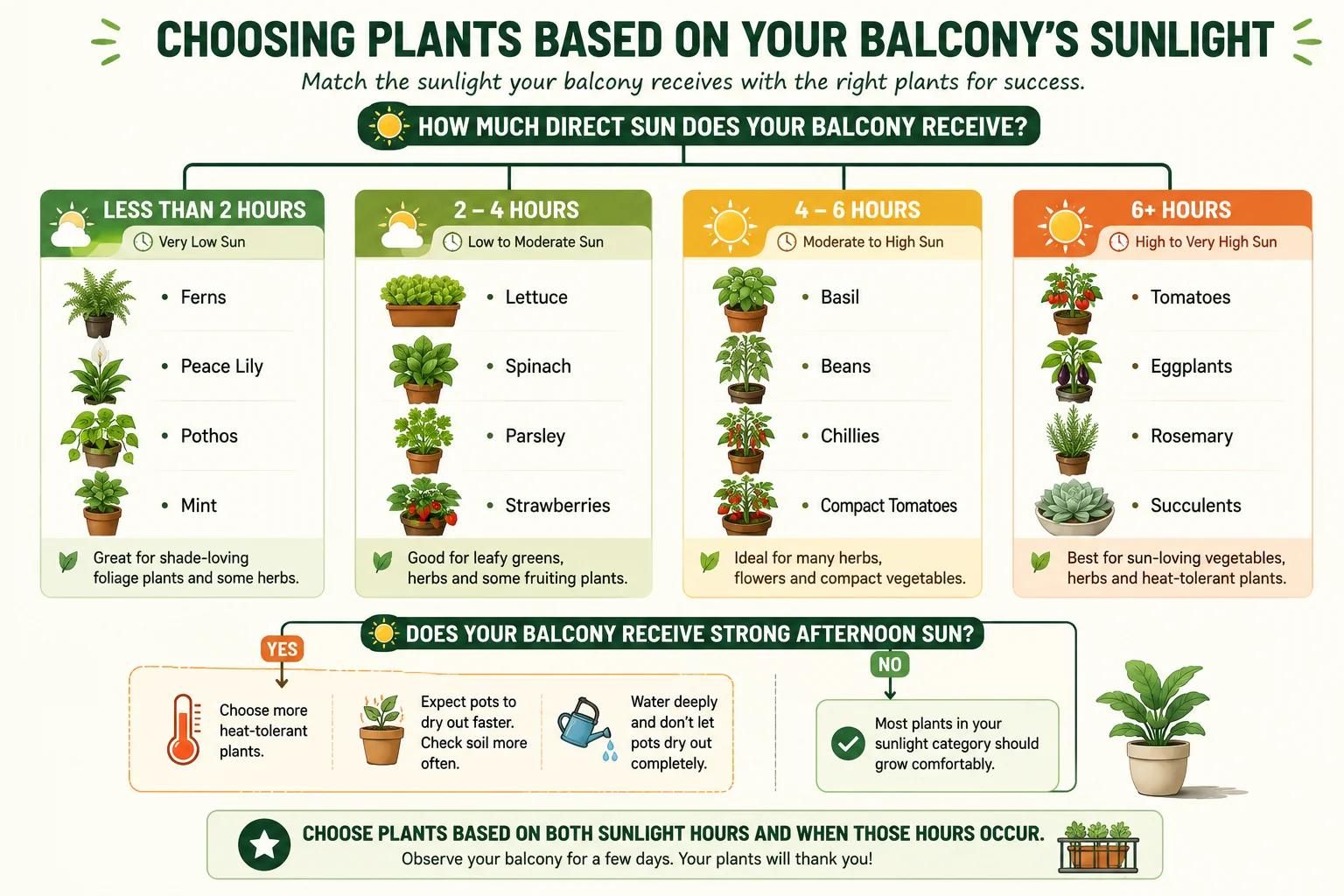 Decision diagram matching balcony sunlight hours and sun intensity with suitable plant groups